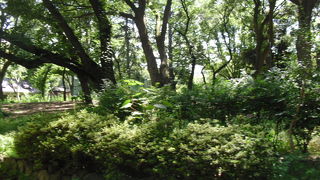 博物館、美術館がすばらしい