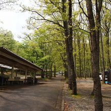 キャンプ場　ＧＷや夏場は人気で混みあいます