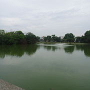 大きな池