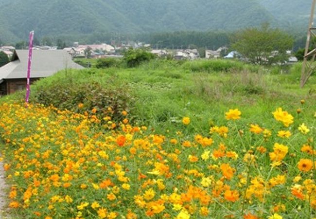 白馬山麓植物園