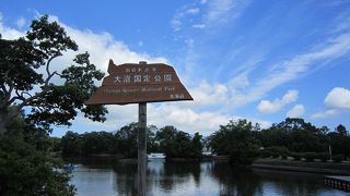 毎日散歩したい♪　大沼公園