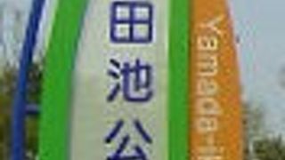 バーベキューができます