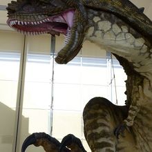 西オーストラリア博物館のホールでは、恐竜の模型がお出迎え。