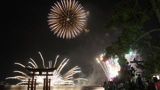 人気日本一の花火大会というのもうなずけます