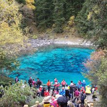 五採池です。ここのブルーは絶品。