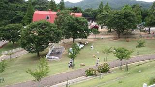 夏は涼しく、色々楽しめます！六甲山牧場