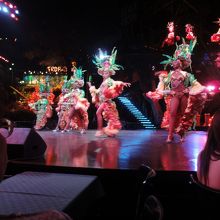 トロピカーナショー