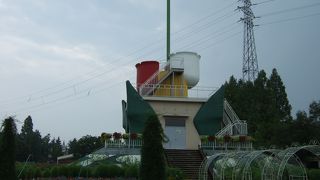 夏でも色とりどりの花が見れます！