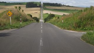 アップダウンが楽しくなるジェットコースター気分のドライブです。