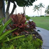 庭を抜けると海