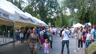 混雑時にはツアーが良いかも