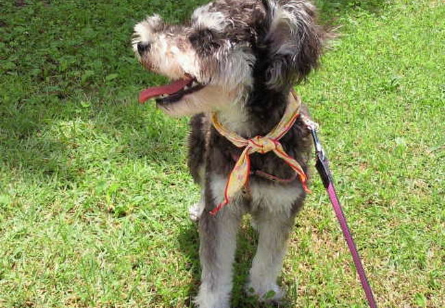 メディアドームで散歩