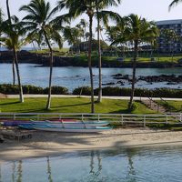 ドルフィンビュー。手前がイルカのいるラグーン。