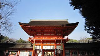 長く続く糺の森に癒されます