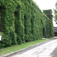 アイビー・スクェア