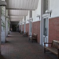 アイビー・スクェア