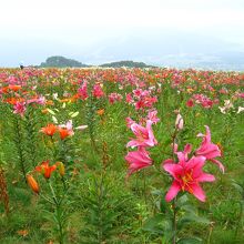 天気悪すぎです、残念