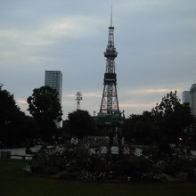 早朝の大通公園