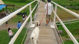 子供と一緒に楽しめます！！