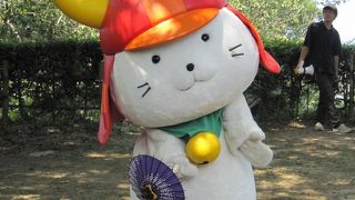 ひこにゃん最高！