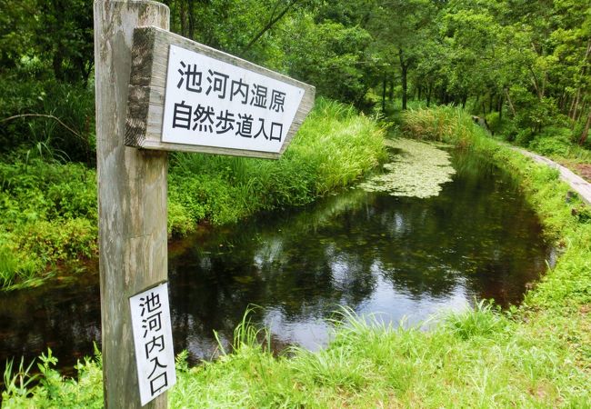 池河内湿原