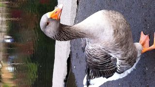 湯布院の定番スポット