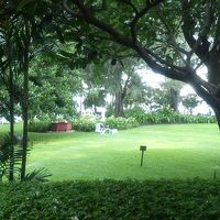 部屋から見たホテルの庭です。毎日癒されました。