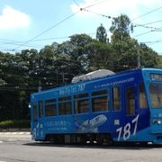 路面電車