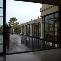 ロビーから各部屋に通じる階段と池