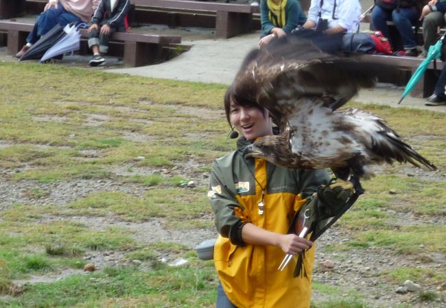 那須のおすすめ観光スポット クチコミ人気ランキングtop フォートラベル 栃木県