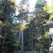 曹洞宗の古刹、箱根登山の入口