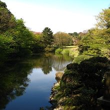 冬になるとこの池にオシドリが飛来します