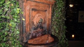 涼しさをもとめて・・・