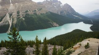 蚊の多さにびっくり！