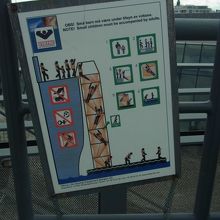 脱出用網．高所恐怖症には少々辛い．