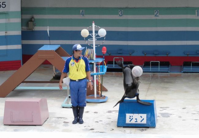 イルカ島 クチコミ アクセス 営業時間 鳥羽 フォートラベル