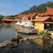 池の周りには水鳥もいっぱい