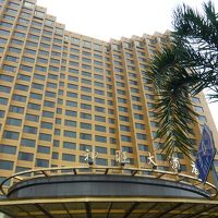 見た感じなかなか立派です