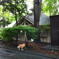 周りを気にせずに犬と過ごせるコテージ