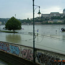 氾濫です。すごかったです。