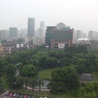 窓の外はいっぱいの緑