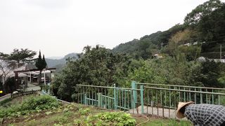 猫空　台北の有名なお茶どころです