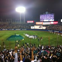 熱狂の神宮球場！ヤクルトの傘が目立つ。