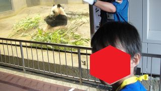 なんでこんなに安いのだろう・・・