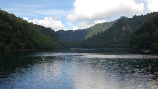 神秘的な沼です。