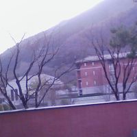 ホテルから橋を渡って日本料理の食事処へ