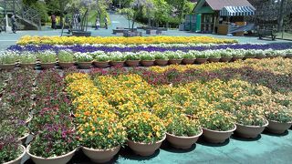 自然に囲まれた遊園地