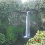 自然の中の滝
