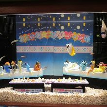 魚の展示に一工夫アリ