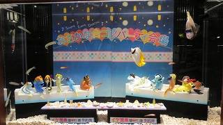 展示の仕方が面白い